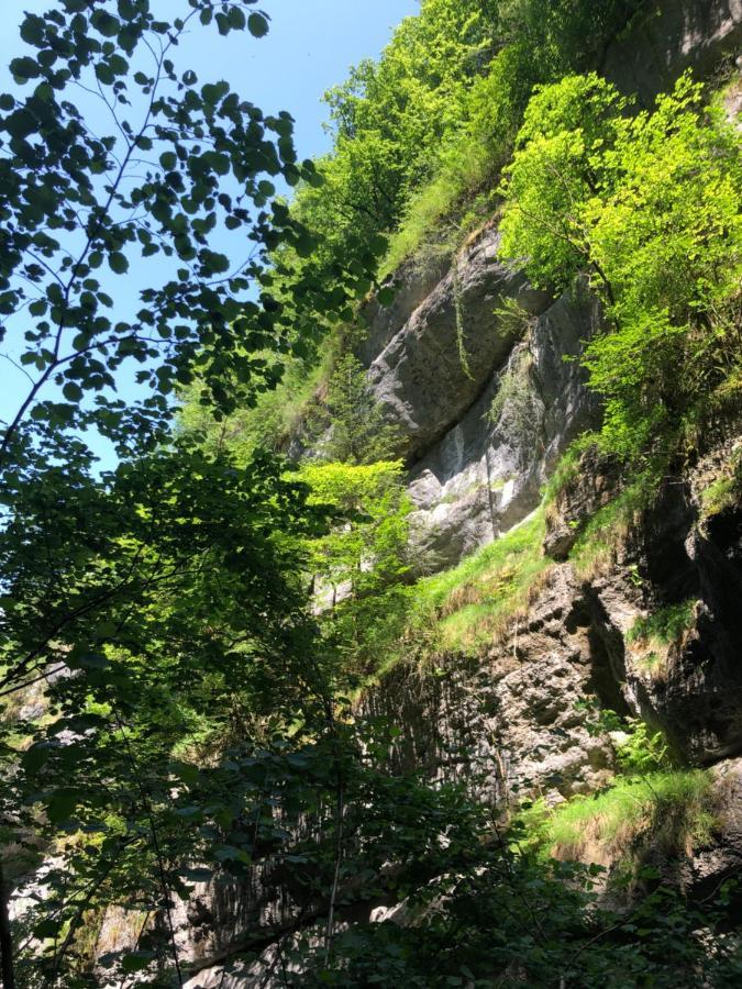 Au Pied Du Vercors Tout Est Permis La Riviere  Buitenkant foto
