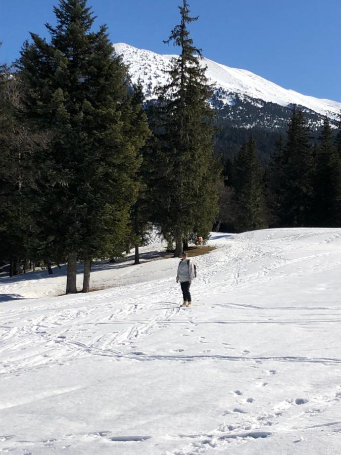 Au Pied Du Vercors Tout Est Permis La Riviere  Buitenkant foto
